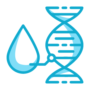 Peripheral Blood, Direct DNA