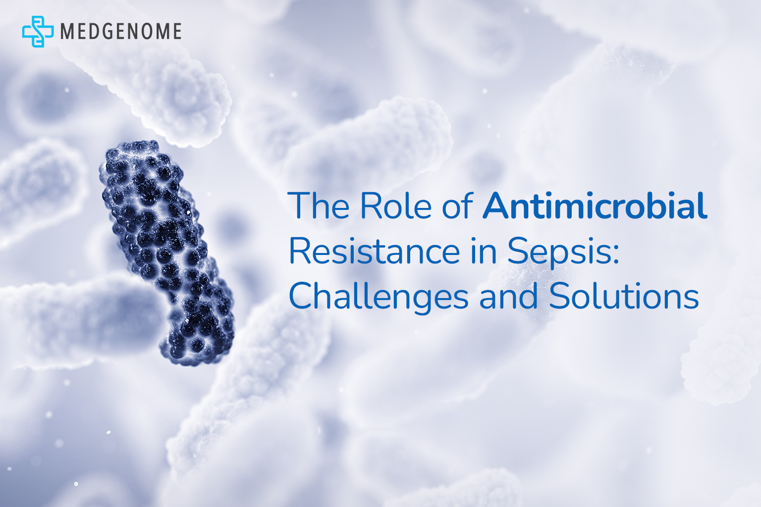 Role of Antimicrobial Resistance in Sepsis