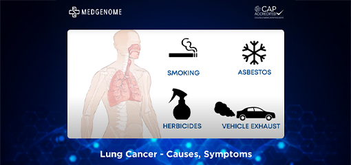 Lung Cancer - Causes, Symptoms, and MedGenome's NGS-based Genetic Test
